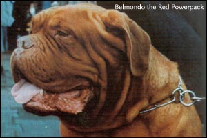   Belmondo the Red Powerpack