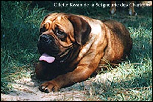   Gilette Kwan de la Seigneurie des Chartrons