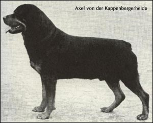  Axel von der Kappenberger Heide