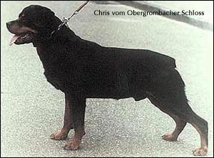 Chris vom Obergrombacher Schloss