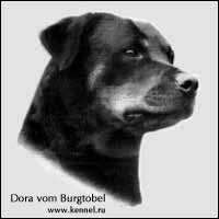  Dora vom Burgtobel